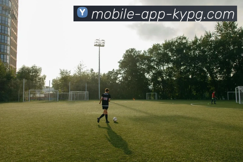 App Interface Preview